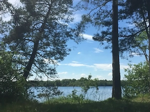 Seeschwimmer vom Winter bis in den Sommer gesucht