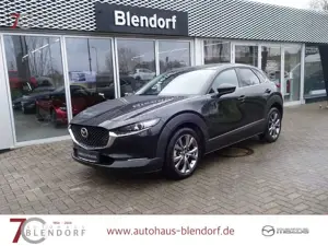 Mazda CX-30 Selection X 2.0 L Automatik Bose-Sound|360°|Naviga