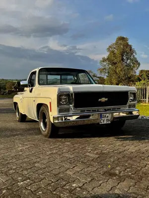 Chevrolet Others C10 Stepside