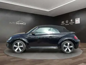 Volkswagen Beetle Bild 2