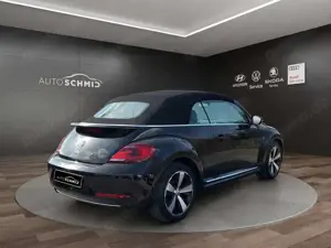 Volkswagen Beetle Bild 5