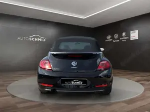 Volkswagen Beetle Bild 4