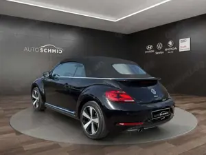 Volkswagen Beetle Bild 3