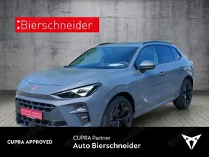 CUPRA Terramar 2.0 TSI DSG 4Drive 5-J-GARANTIE HUD AHK 360°KAMERA