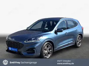 Ford Kuga 2.0 EcoBlue Aut. ST-LINE AHZV Sitzhzg. v+h