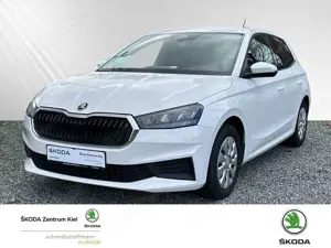 Skoda Fabia 1.0 TSI Ambition OPF (EURO 6d) Klima Navi