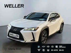 Lexus UX 250h Style Edition *Bi-LED*ACC*Kamera*SHZ*PDC*