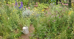 Schöner Garten in Ettlingen 