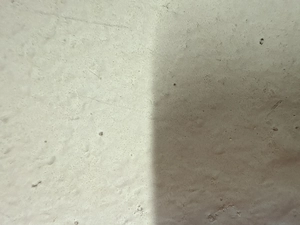 Suche eine Frau, die Lust hat, sich wirklich fallen zu lassen