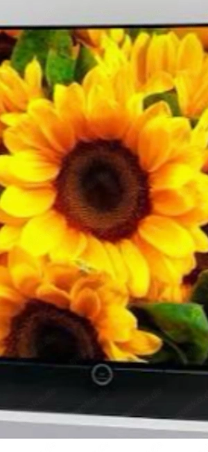 Frühling Sommer Sonne und wo bist du?