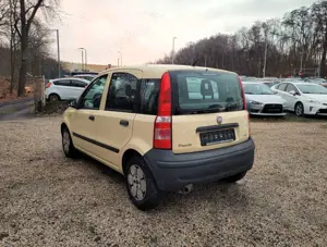 Fiat Panda Bild 3