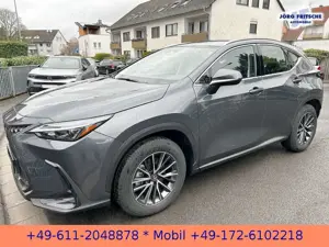 Lexus NX 350h E-Four Business*NAVI*BI-LED*CarPlay* Bild 3