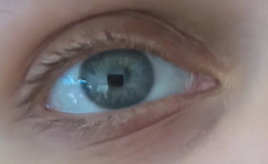 29, Chubby, GV, TaGe: gebildet und sexy