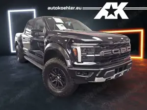 Ford Others