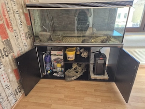 Aquarium mit Schildkröten , fischen und viel Zubehör