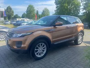 Land Rover Range Rover Evoque Pure=Automatik-Sitzheiz-Temp= Bild 2