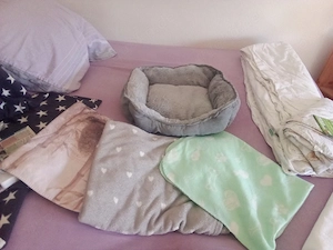 Hunde Bett zu verkaufen 