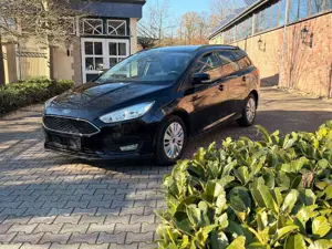 Ford Focus Business | 1.0 EcoBoost | Design  Winter-