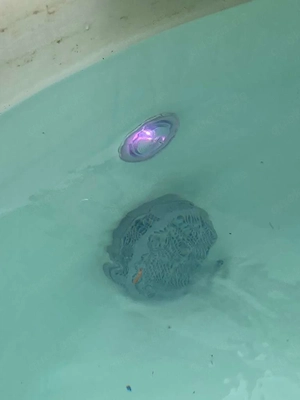 Whirlpool - Softub Modell Resort Bild 3
