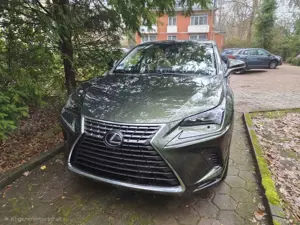 Lexus NX 300h NX Hybrid E-FOUR Luxury Line