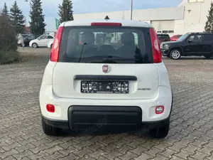 Fiat Panda Bild 4