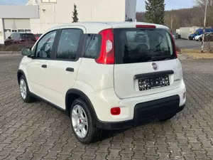 Fiat Panda Bild 3