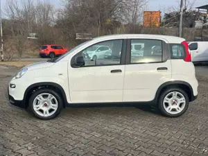 Fiat Panda Bild 2