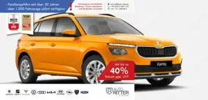 Skoda Kamiq Selection AHK|RFK|LED|Carplay|Klima|PDC...