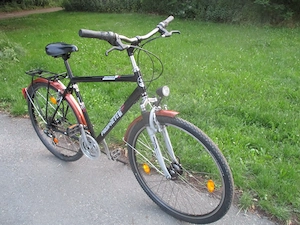 Herren Fahrrad