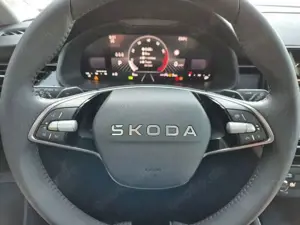 Skoda Kamiq 1.0 TSI 85kW Selection Matrix-LED Sitzheiz
