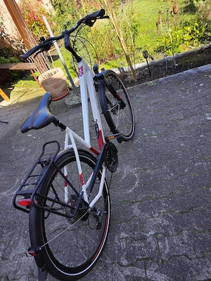 Damen Trekking-Rad, Bergamont Horizon 6 