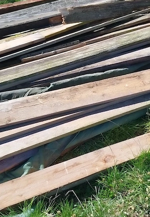 Holz kostenlos! Bild 2