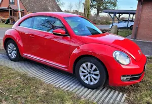 Volkswagen New Beetle