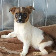 Michi Im Wachstum   Der kleine Strolch