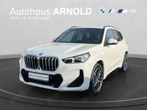 BMW X1 xDrive30e M Sportpaket Head-Up Parkingassist.Plus