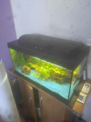 Aquarium 60L und Unterschrank 