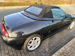 Alfa Romeo Spider Bild 2