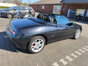 Alfa Romeo Spider Bild 3
