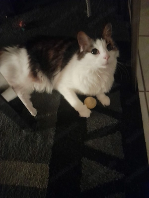 Whg. in Wolgast gesucht! 50-60m 