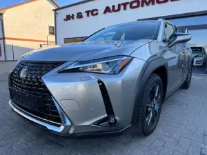 Lexus UX 200 Luxury Line/ACC/LED/Sitzh/Navi/Kamera
