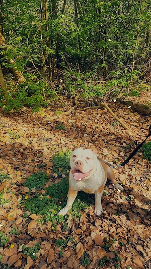 Prinzessin sucht Sofa