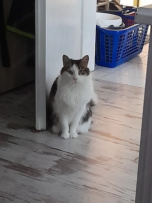 Gesuch: Seperate Whg in Hagenow und Umgebung für meine Mutter und mich