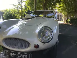 Oldtimer Others Rochdale GT 1 von 5 original Fahrzeugen 1367GJJ