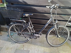 E-Bike Marke KTM Bild 2