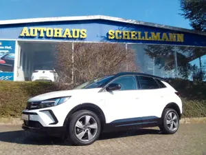 Opel Grandland X Grandland 1.2T GS Voll-LED 360* SHZ LHZ Navi Pro