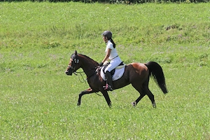 Deckanzeige Cruzado Bild 7