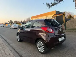 Ford Ka/Ka+ Titanium TÜV NEU Garantie Bild 3