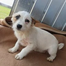 Elia  Im Wachstum   Die kleine Schneeflocke