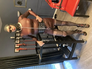 TVGirl sucht Dom. Ihn