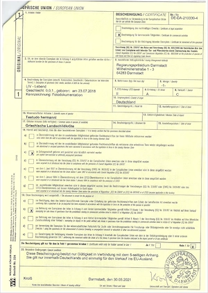 Griechische Landschildkröten 22-24